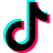TikTok icon